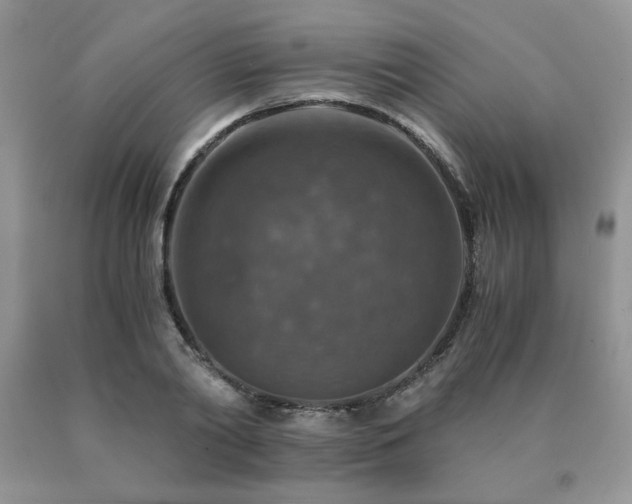 X0000091060790200708061241