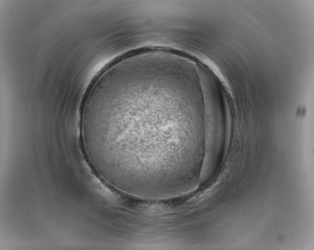 X0000091060791200708061241