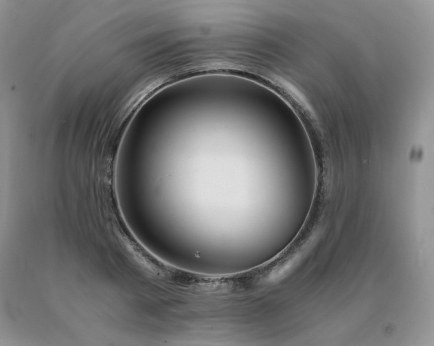 X0000091060793200708061241