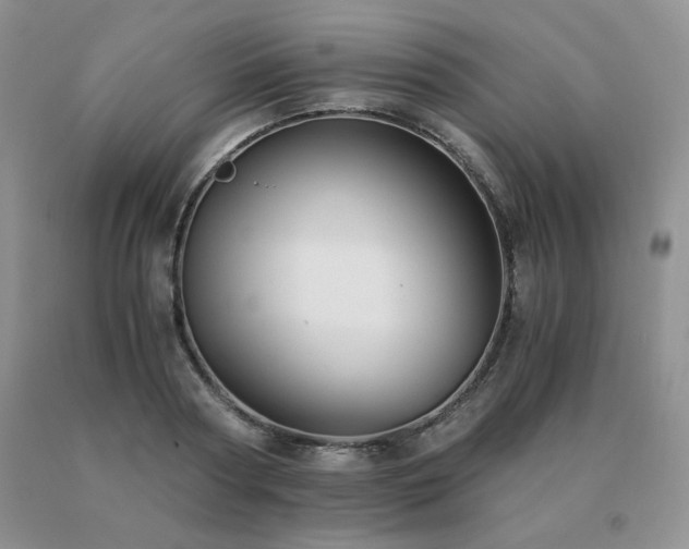 X0000091060794200708061241