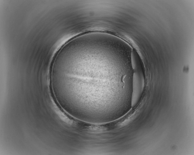 X0000091060795200708061241
