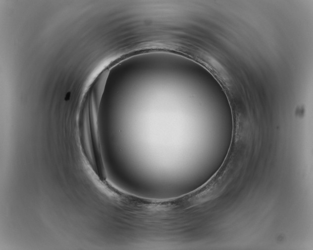 X0000091060796200708061241