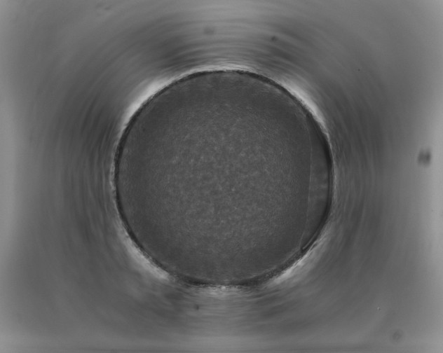 X0000091060797200708061241