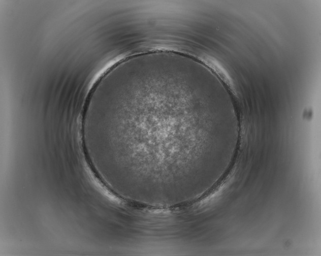 X0000091060798200708061241