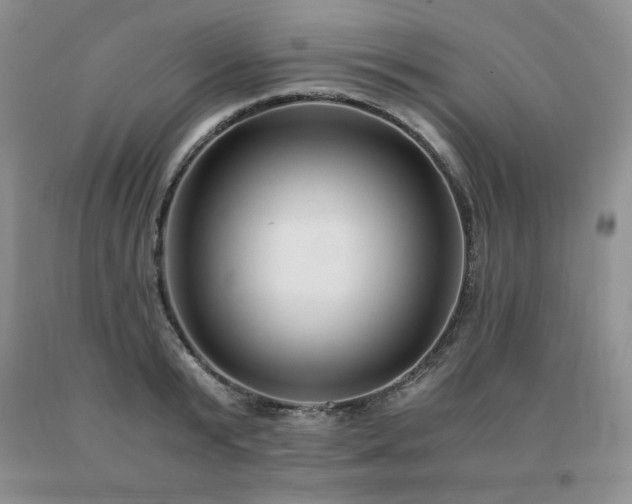 X0000091060799200708061241