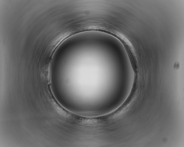 X0000091060801200708061241