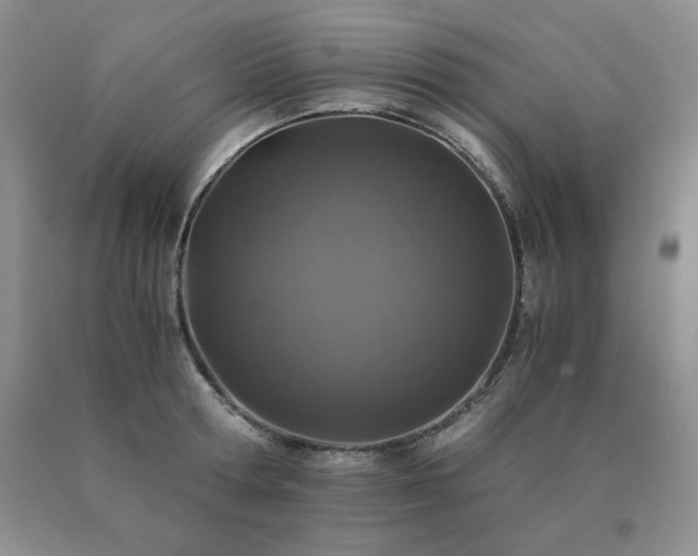 X0000091060802200708061241