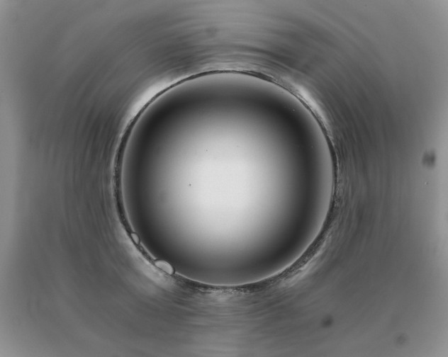 X0000091060803200708061241