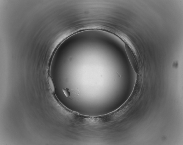 X0000091060805200708061241