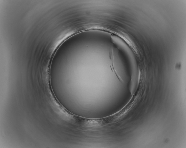 X0000091060806200708061241