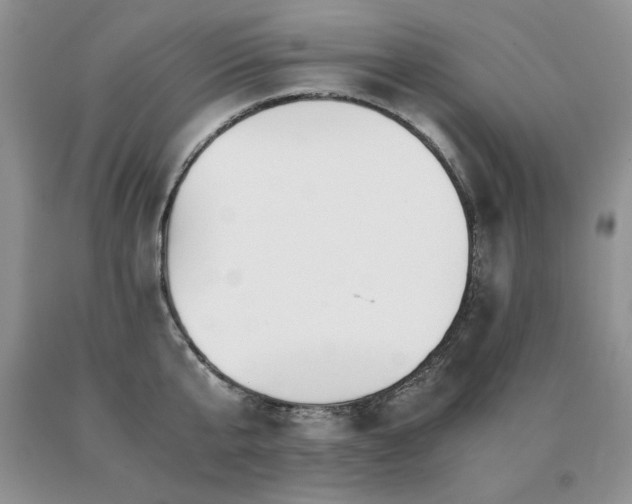 X0000091060807200708061241