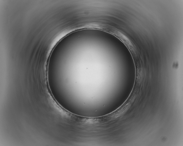 X0000091060808200708061241