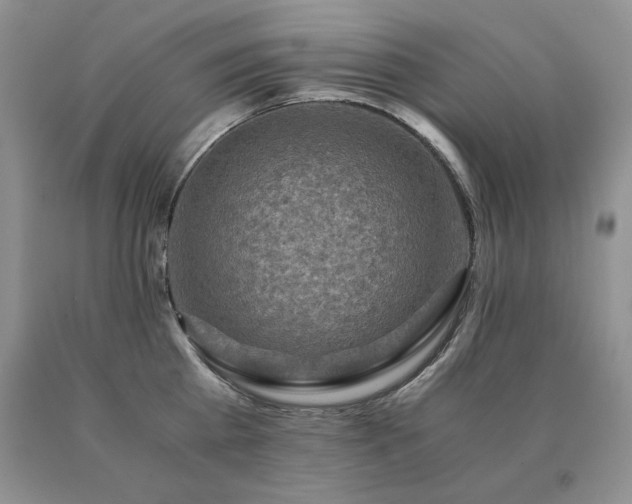 X0000091060809200708061241