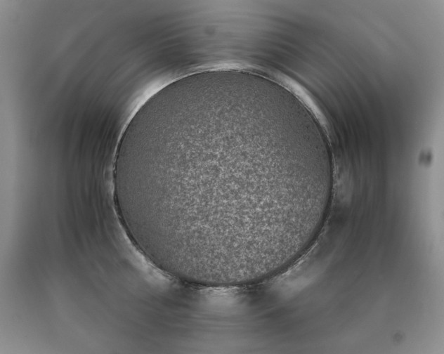 X0000091060810200708061241
