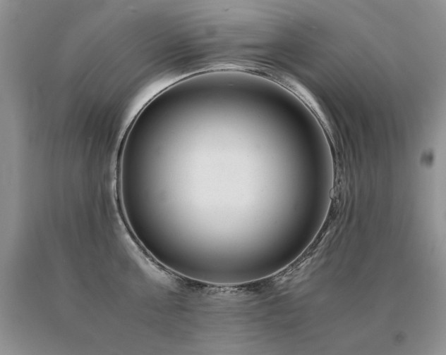 X0000091060811200708061241