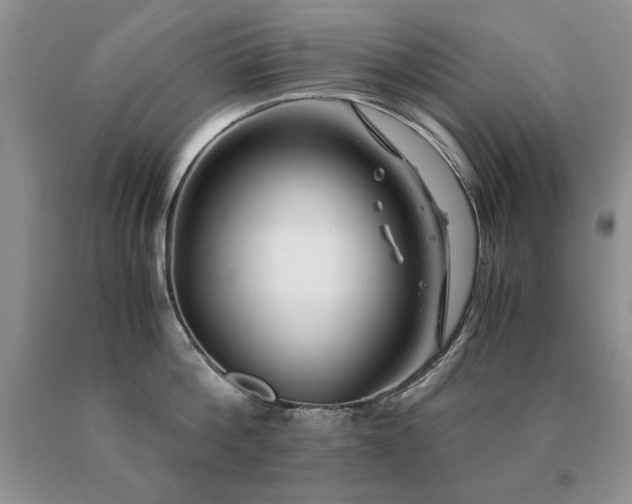 X0000091060812200708061241