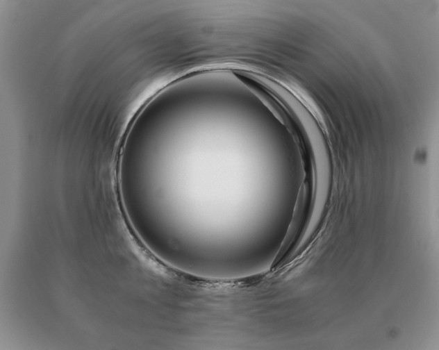 X0000091060813200708061241
