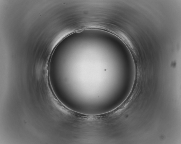 X0000091060814200708061241