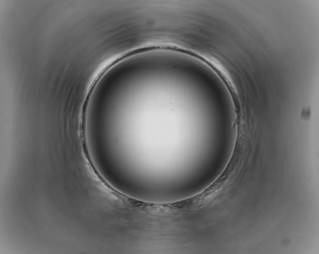 X0000091060815200708061240