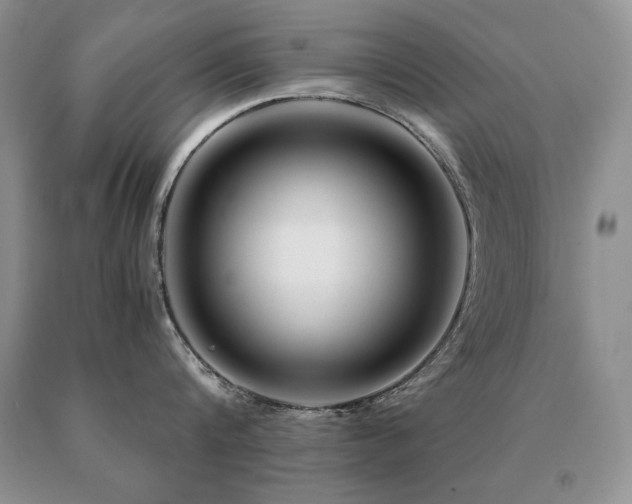 X0000091060816200708061240