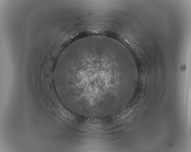 X0000091060817200708061240