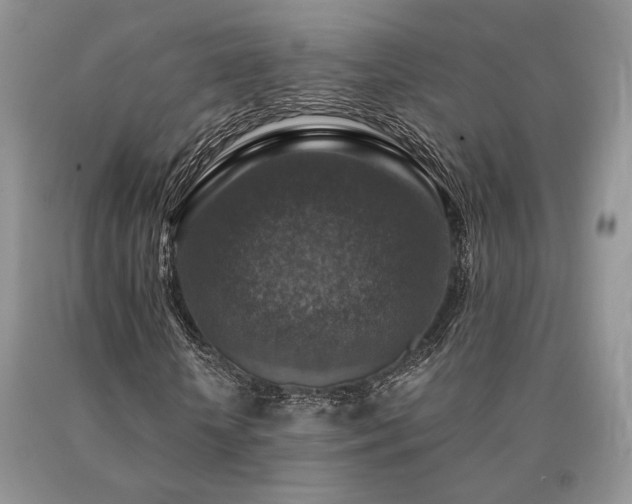 X0000091060818200708061240