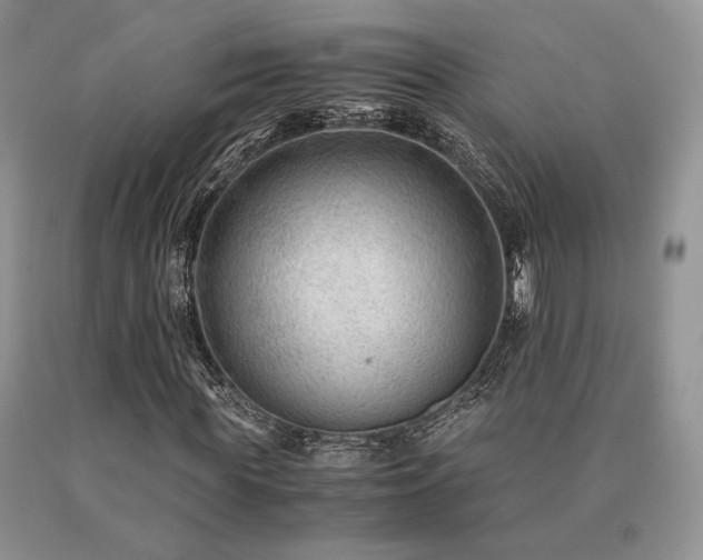 X0000091060819200708061240
