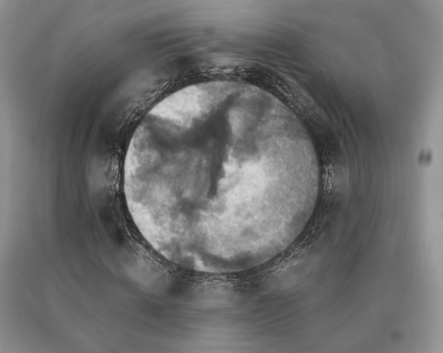 X0000091060820200708061240