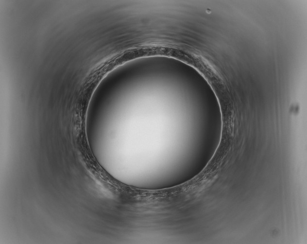 X0000091060821200708061240