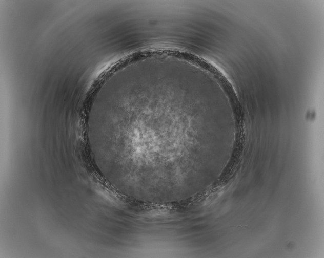 X0000091060823200708061240