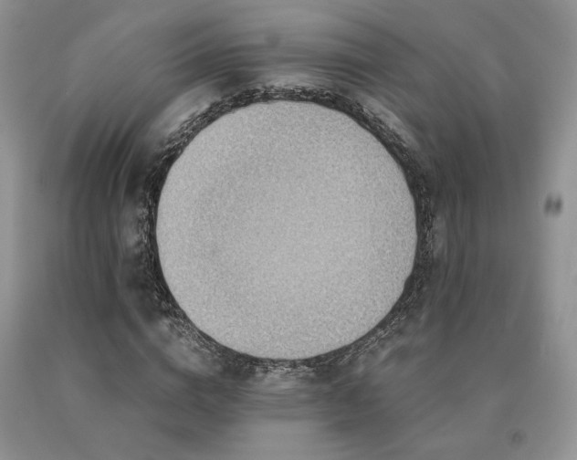 X0000091060824200708061240