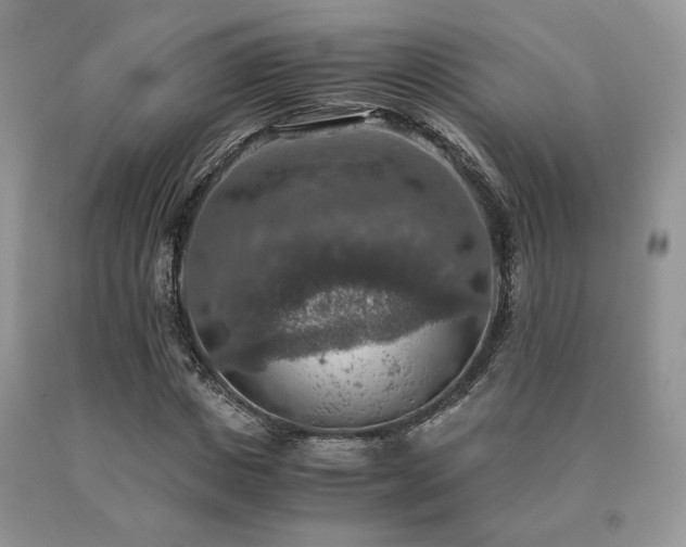 X0000091060825200708061240