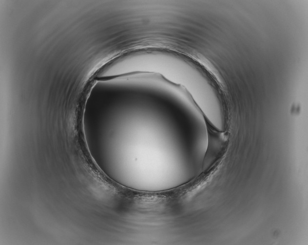 X0000091060826200708061240