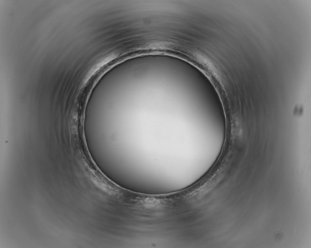 X0000091060827200708061240