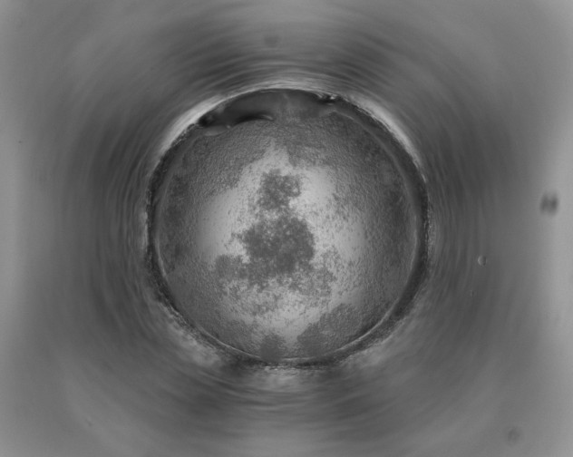 X0000091060829200708061240