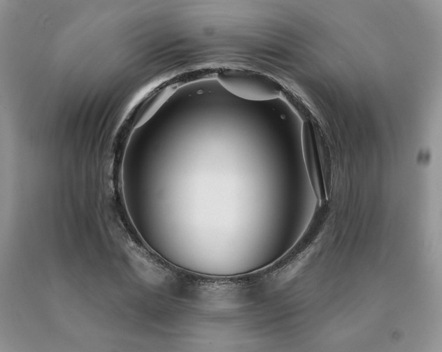 X0000091060830200708061240