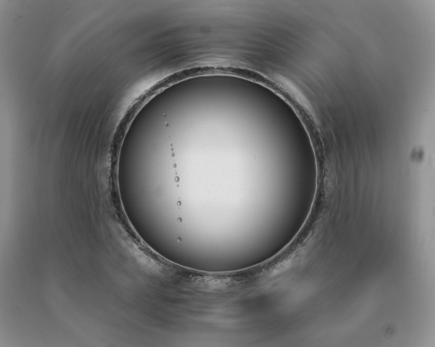 X0000091060831200708061240