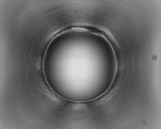X0000091060833200708061240