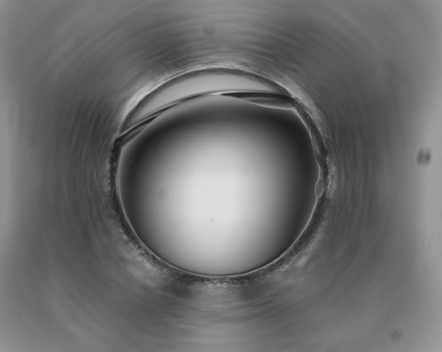 X0000091060834200708061240