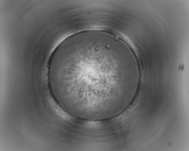X0000091060835200708061240