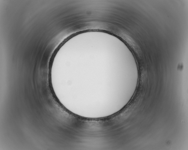 X0000091060836200708061240