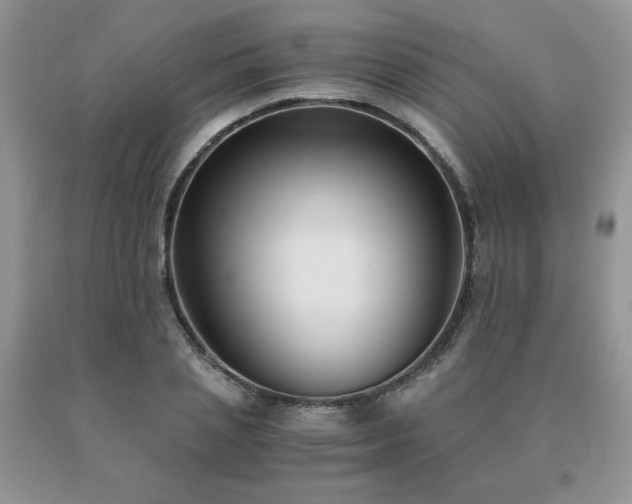 X0000091060837200708061240