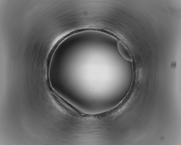 X0000091060838200708061240