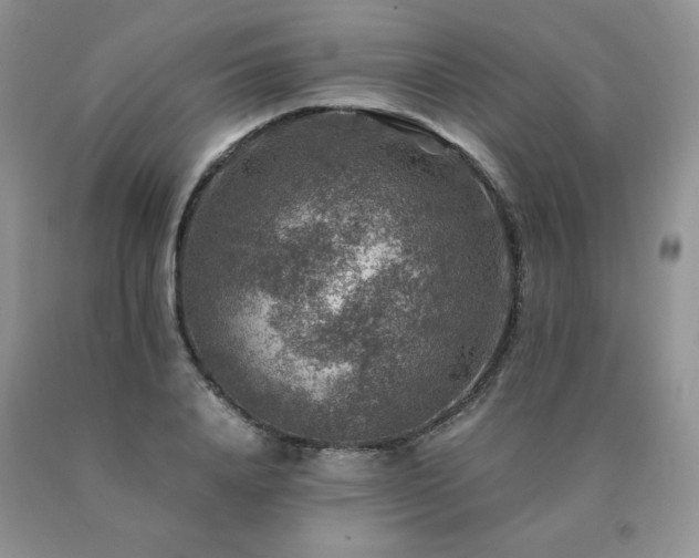 X0000091060840200708061240