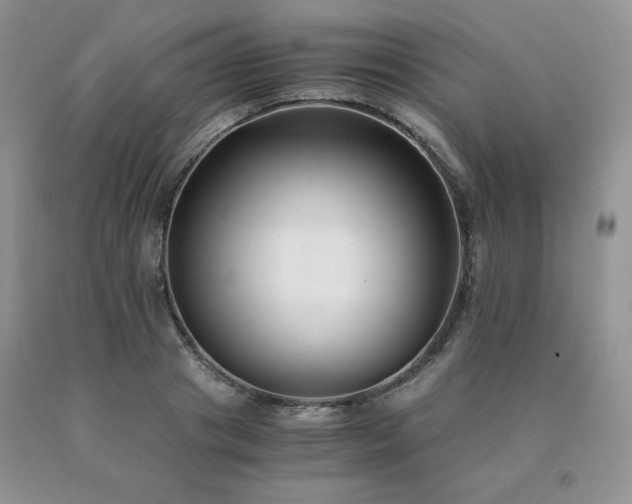 X0000091060841200708061240