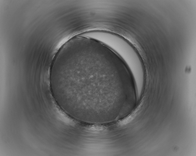 X0000091060842200708061240