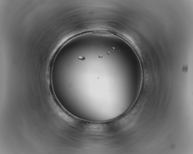 X0000091060843200708061240