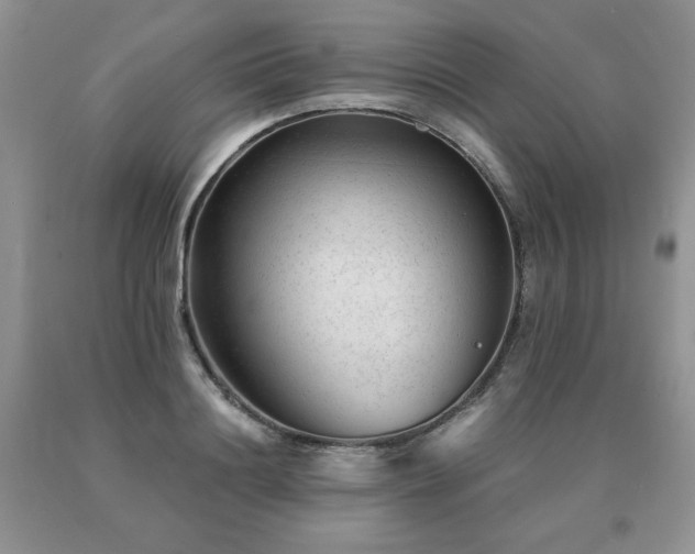 X0000091060844200708061240