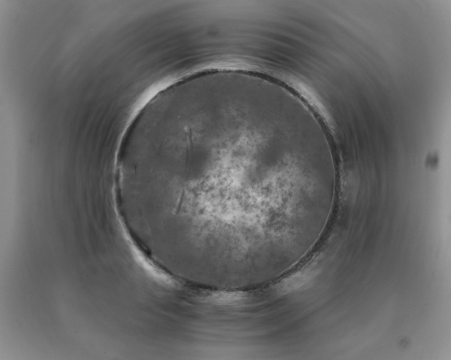 X0000091060845200708061240