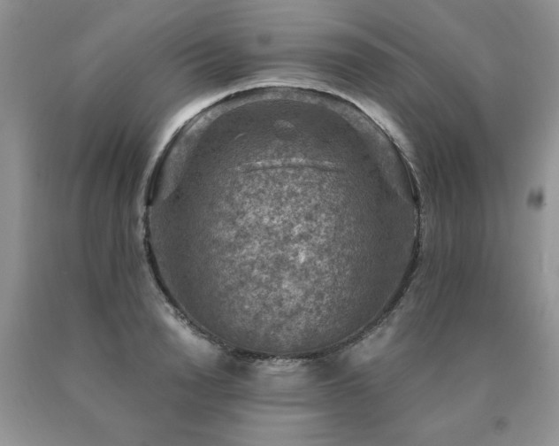 X0000091060846200708061240